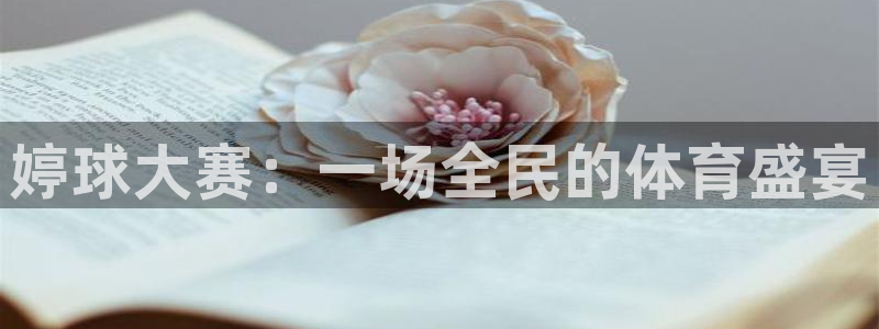 od体育网站：婷球大赛：一场全民的体育盛宴